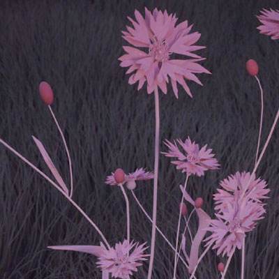 365体育手机版app下载